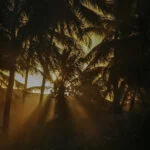 mata de são joao – tatyana andrade 65