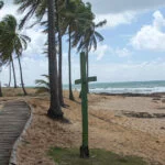 mata de são joao – tatyana andrade 86
