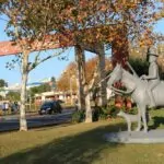 Parque Central José Rossi Adami – foto Nina Pirola
