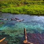 Flutuacao-Rio-Sucuri_credito-H2O-Ecoturismo