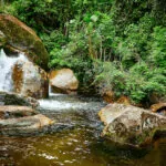 Caraguatatuba Parque Estadual da Serra do Mar – foto por Ken Chu – expressão studio