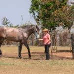 engenheiro-coelho-4229