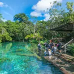 Nascente-Azul-flutuacao-1