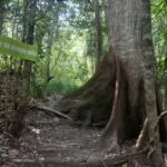 Caminho dos Santos Mártires (2)
