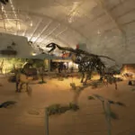 itatiba-museu-de-historia-natural