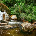 Parque-Estadual-da-Serra-do-Mar-Caraguatatuba-SP-Foto-Ken-Chu-expressao-studio