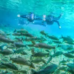 Nascente-Azul-flutuacao-3