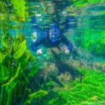 Nascente Azul – flutuação (5)