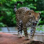 zoologico-1-1024×681-1