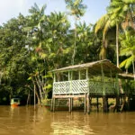 Ilha do Combú – foto por Bruna Brandão – MTUR