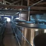 Engenho Vitória (4)
