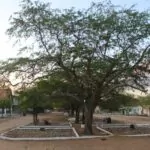 Fazenda Jacu- Registro Jessé Soares 19