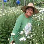Cooperativa de pilões – Helena Lourenço que preside a Cofep 1