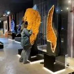 Geo museu. Foto Luciano Nagel