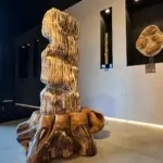 tronco de arvore petrificado. Foto Luciano Nagel