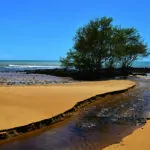 Manguinhos