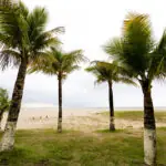 Praia-Brava