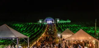 Confira a programação dos shows nacionais e espetáculos artísticos temáticos no Natal nos Vinhedos