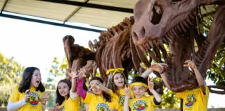 Acampamento Peraltas lança temporada de férias de janeiro unindo diversão, experiências e aprendizado