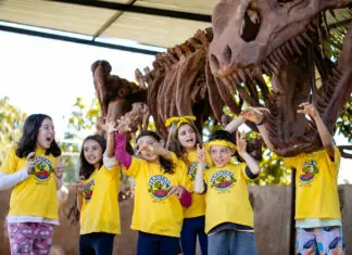 Acampamento Peraltas lança temporada de férias de janeiro unindo diversão, experiências e aprendizado