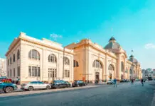 Mercadão e Kinjo Yamato recebem programação cultural com 12 atrações gratuitas