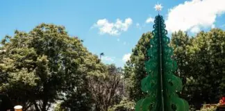 Nova Petrópolis se transforma em cenário de cartão-postal com Árvore de Natal gigante