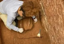 Capela dos Aflitos: novo achado arqueológico reforça memória negra da Liberdade