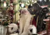 Papai Noel chega à Terra Mágica Florybal, na Serra Gaúcha, com espetáculo inédito