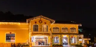 Vinícola Góes celebra o Natal com música, arte e luzes em novembro