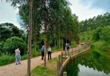 Novo conceito e abertura do zoológico em Serra Negra