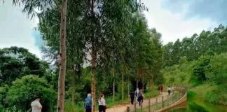 Novo conceito e abertura do zoológico em Serra Negra