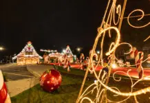 Porque incluir Campos do Jordão no seu roteiro de viagem antes que 2025 acabe