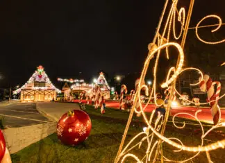 Porque incluir Campos do Jordão no seu roteiro de viagem antes que 2025 acabe