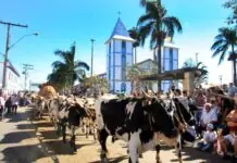 Turismo Religioso em Alta: Trindade como Destino de Devoção