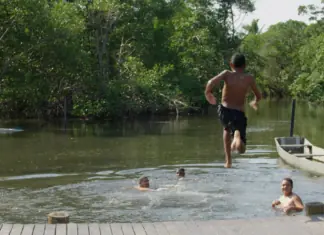 Lançamento do documentário acerca do maior manguezal urbano do Brasil: temática de preservação e Economia Azul no ES