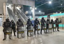 Confira mais informações sobre a Operação Carnaval em São Paulo