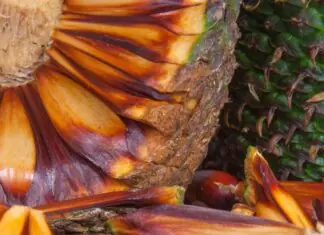 Lages volta triunfante para mostrar todo seu potencial turístico para o Brasil.