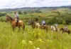 Turismo rural com base operacional: o modelo da Fazenda Boqueirão em Santa Catarina