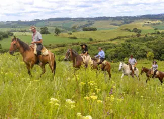Turismo rural com base operacional: o modelo da Fazenda Boqueirão em Santa Catarina