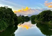 Jaraguá do Sul une felicidade e desenvolvimento em celebração de 150 anos