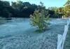 Um passeio de A a Z por Monte Verde, entre trilhas, sabores e paisagens