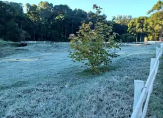 Um passeio de A a Z por Monte Verde, entre trilhas, sabores e paisagens