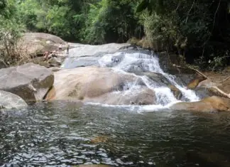 Do Inverno ao Verão: As 10 Melhores Cachoeiras do Litoral Norte Paulista