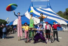 Festival de Circo, Encontro Nacional de Dança e oficinas culturais: os destaques da Agenda Viva SP