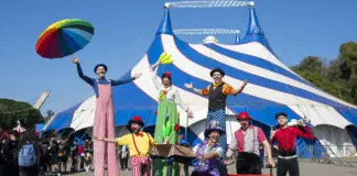 Festival de Circo, Encontro Nacional de Dança e oficinas culturais: os destaques da Agenda Viva SP