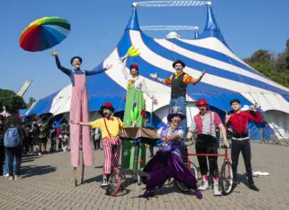 Festival de Circo, Encontro Nacional de Dança e oficinas culturais: os destaques da Agenda Viva SP
