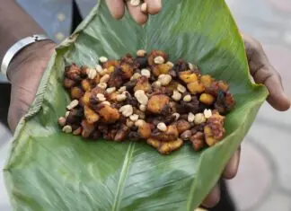 No Dia da Amazônia, descubra endereços onde é possível provar, comprar e descobrir produtos amazônicos