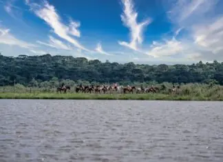 Gastronomia ‘farm to table’ e bem-estar: Virá Farm Hotel se reinventa no Paraná