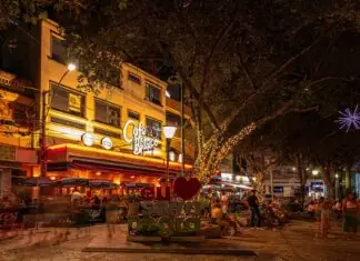Primavera renova sabores e experiências gastronômicas em Serra Negra