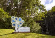 Cine.Ema e Orquestra Sinfônica: Reserva Águia Branca vira palco de cinema e música na natureza